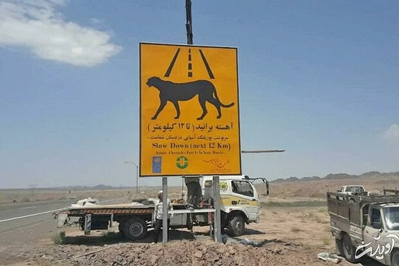 از لباس تیم ملی فوتبال تا اسارت توسط شیخ نشینان امارات